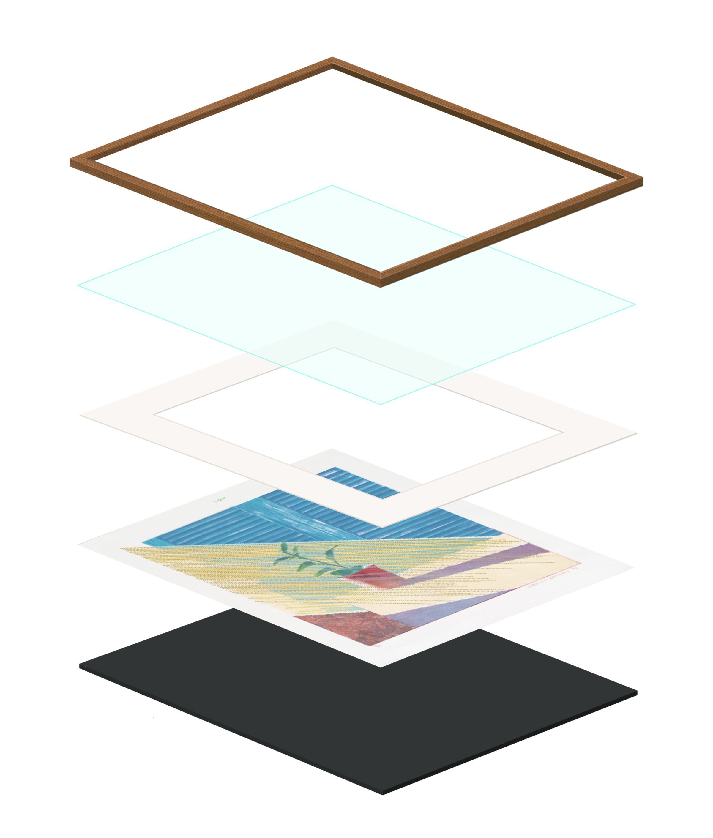 Frame Anatomy Exploded View