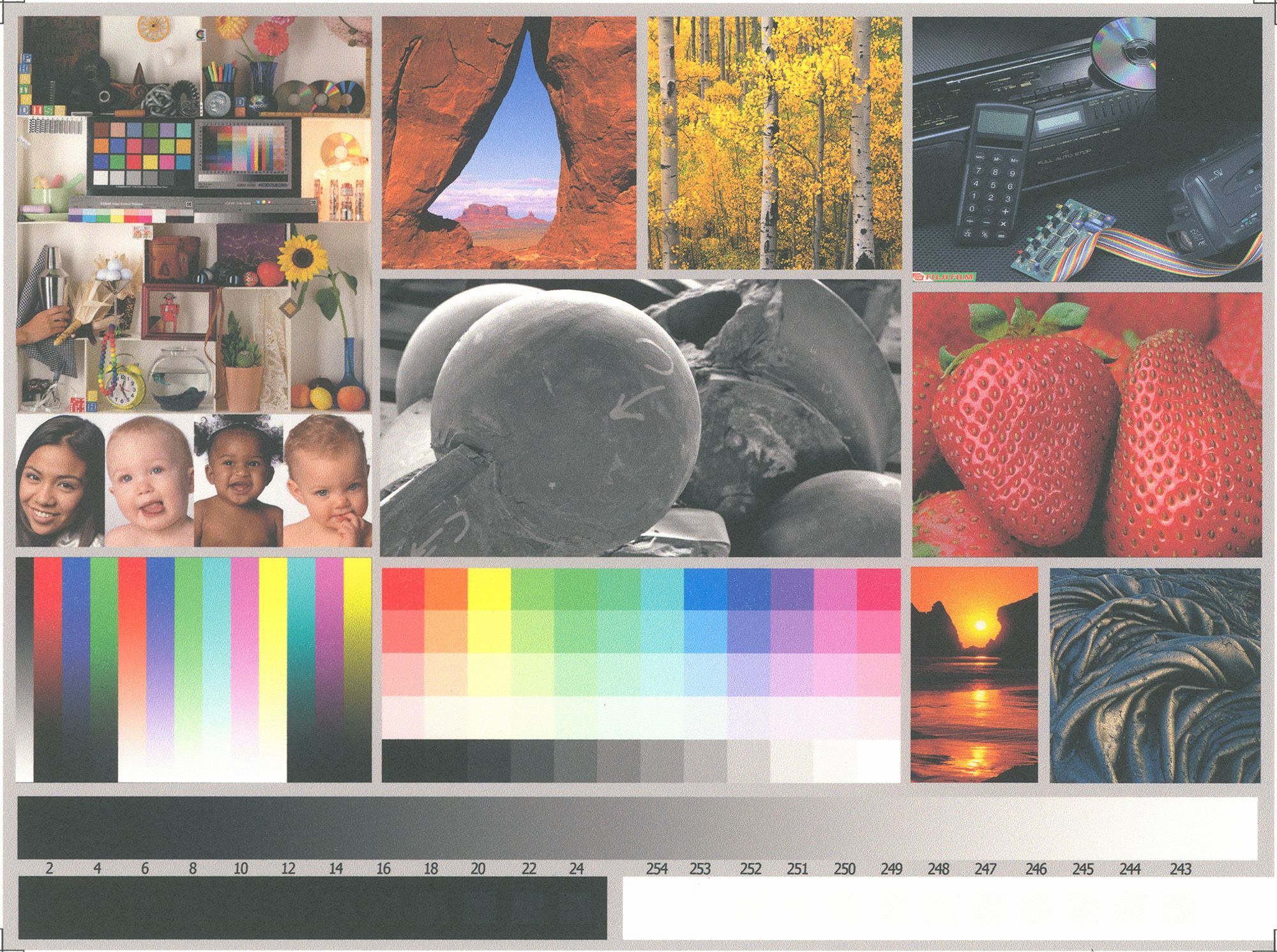 Eggshell Color Gamut