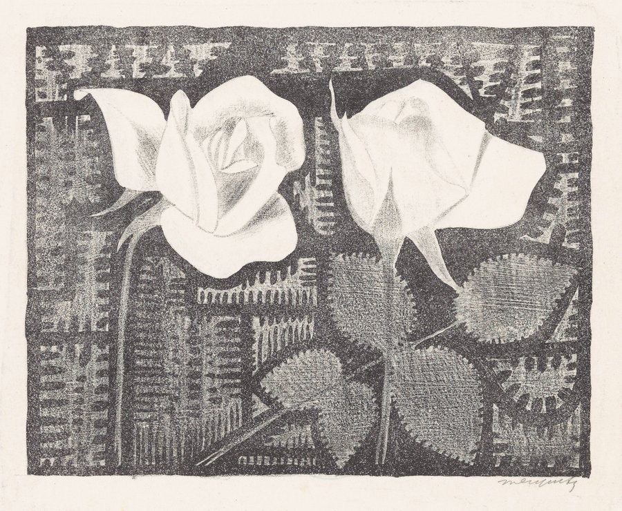Twee rozen (1920)