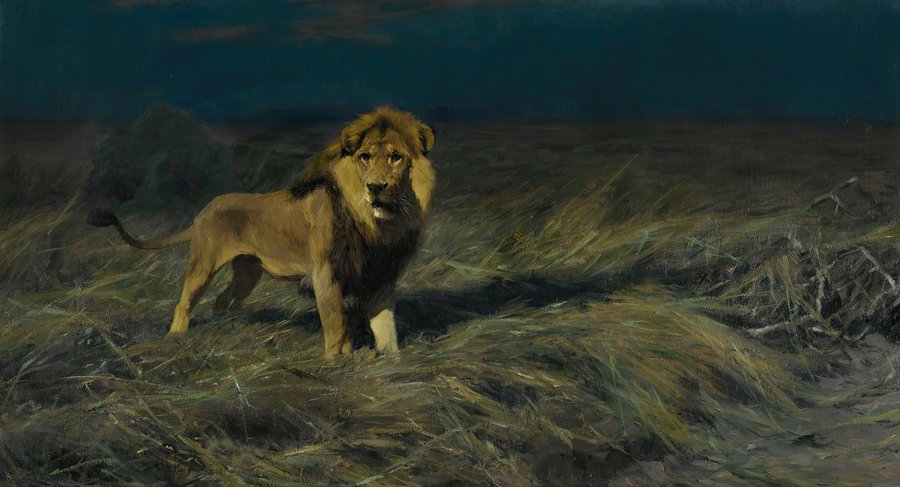 Auf der Suche nach Beute (In Search of Prey)