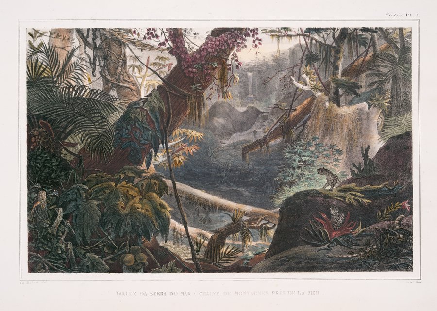 Vallee da Serra do Mar (Chaine de montagnes pre de la mer) (1834 - 1839)