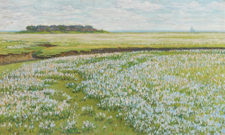 A Vast Summer Landscape
