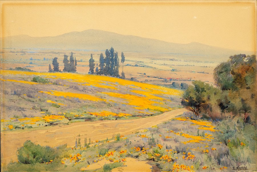 California Spring Landscape