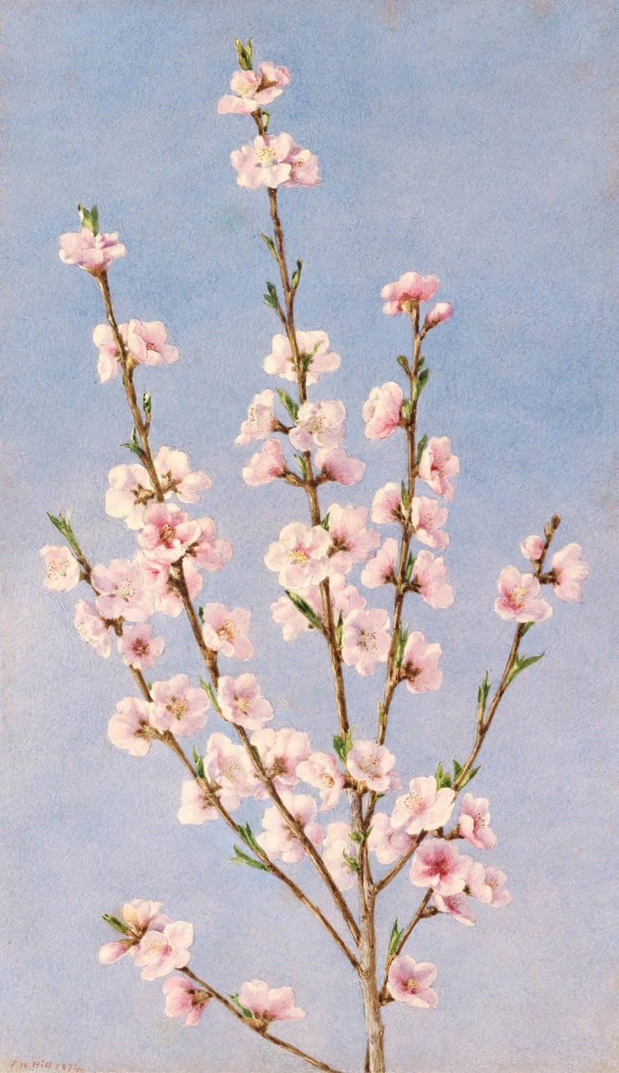 Peach Blossoms (1874)