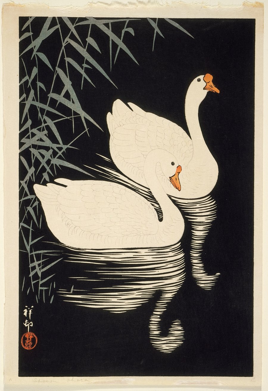 White Chinese Geese Swimming By Reeds (1928)