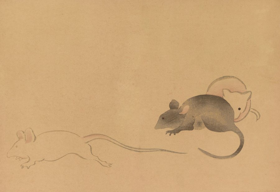 Kōrin gafu, Pl.11 (1868-1912)