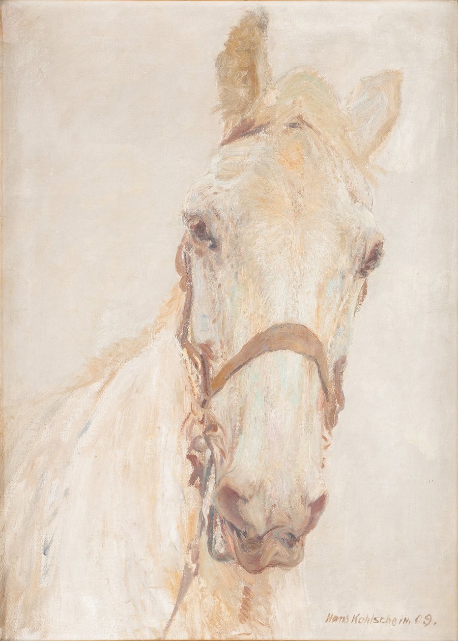 White horse (1909)