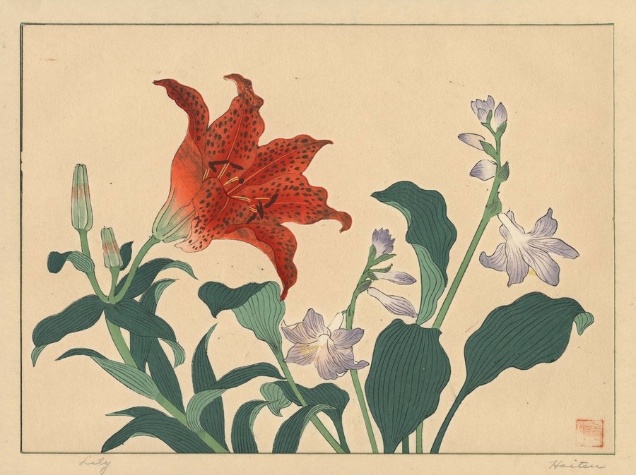 Lily (1920s)