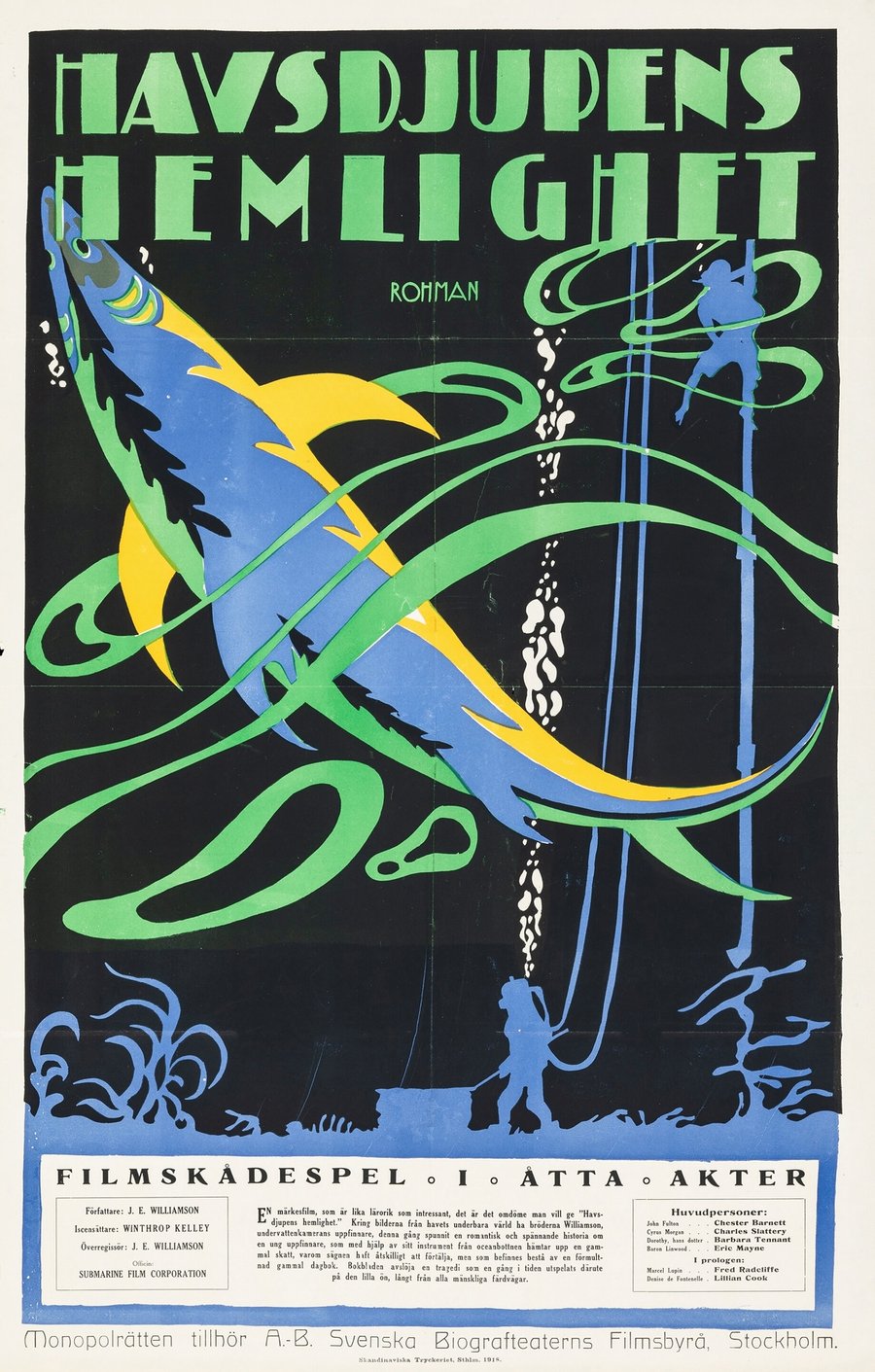 The Submarine Eye (1918)