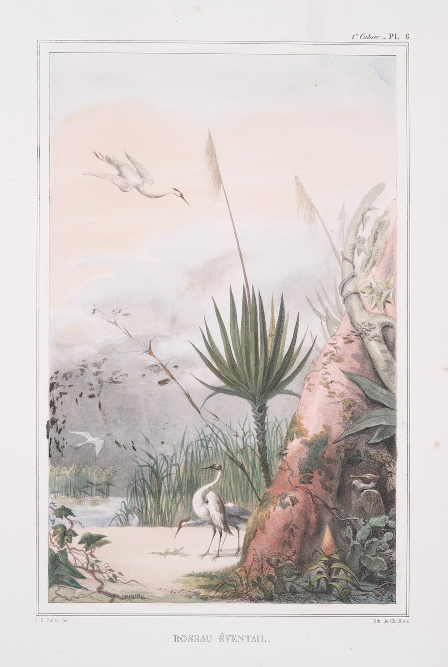 Roseau éventail (ouba) (1834 - 1839)