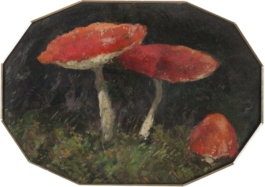 Amanitas