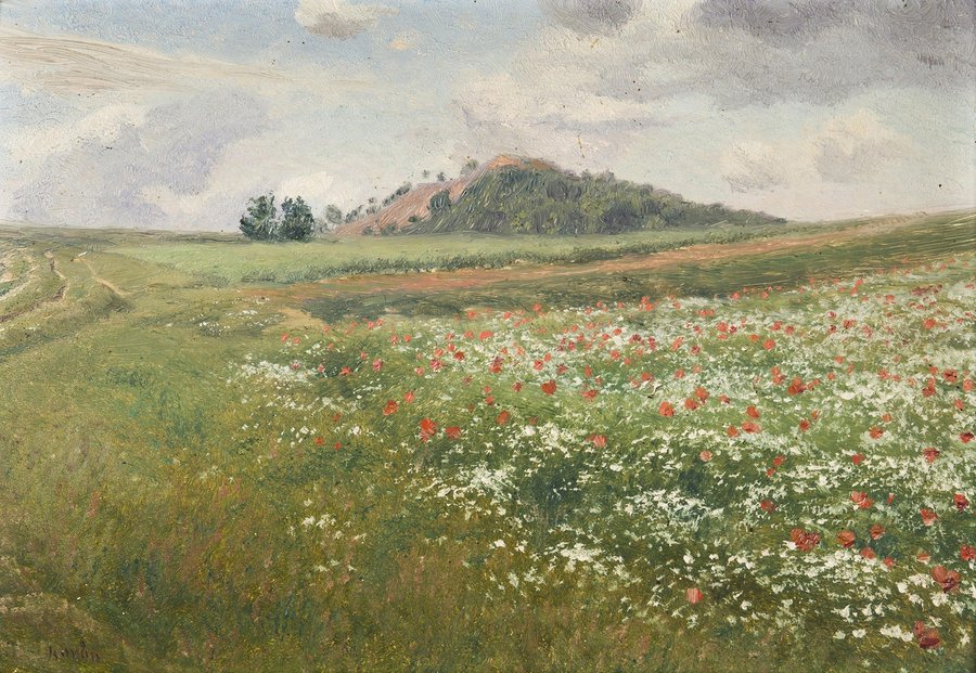 Fields with Wild Poppies