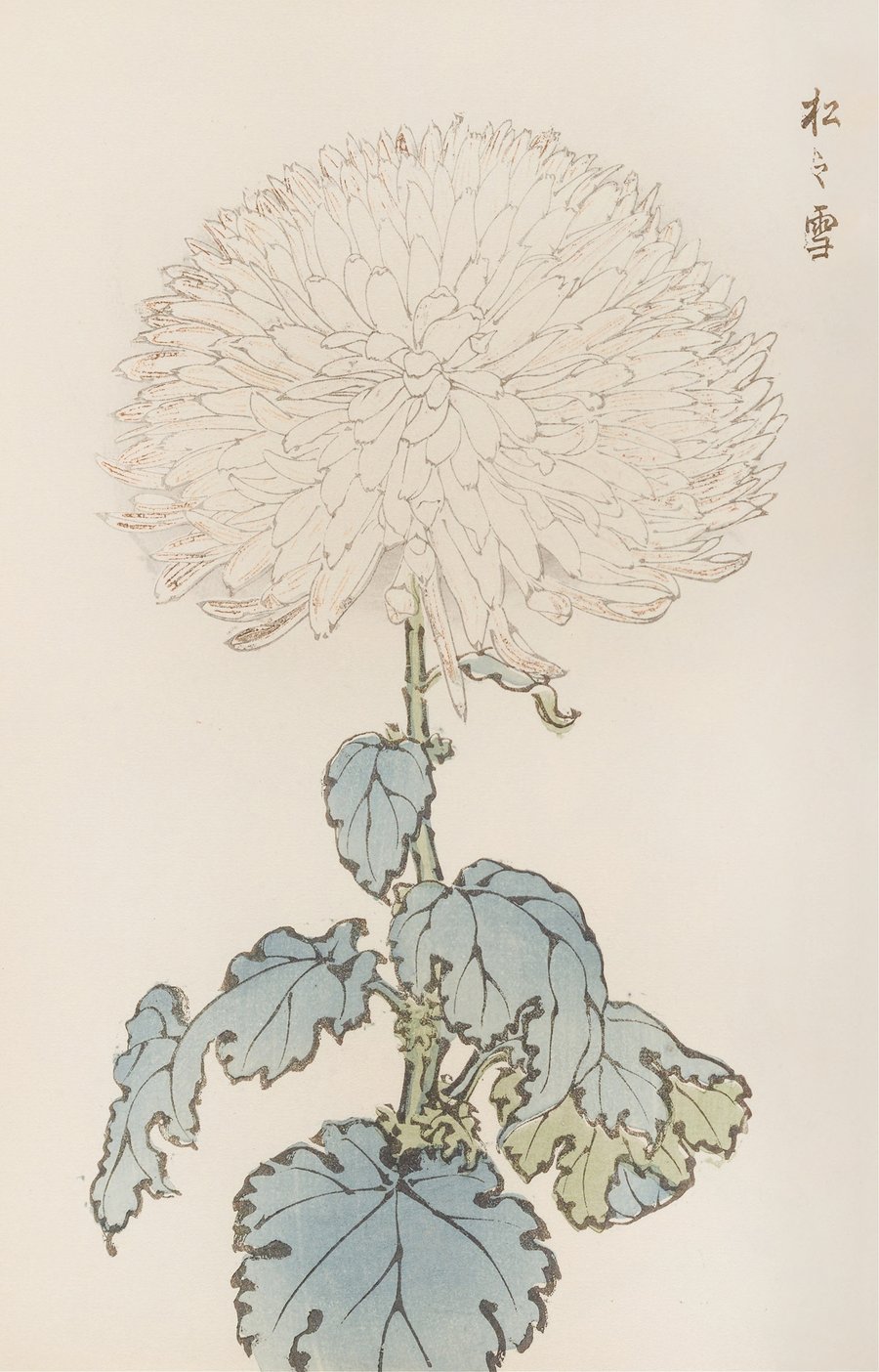 Keika hyakugiku, Pl.19 (1893)