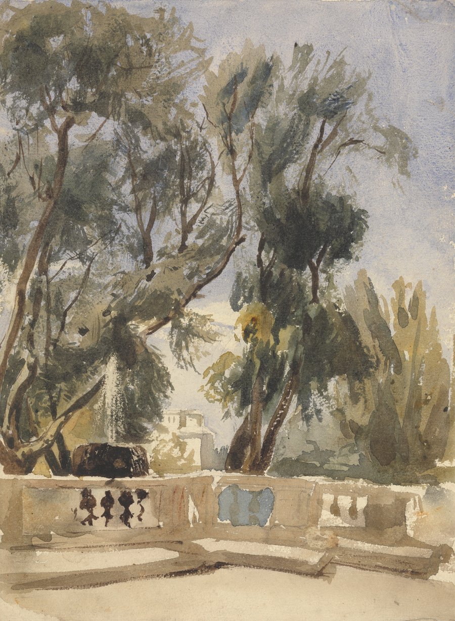 The Terrace
