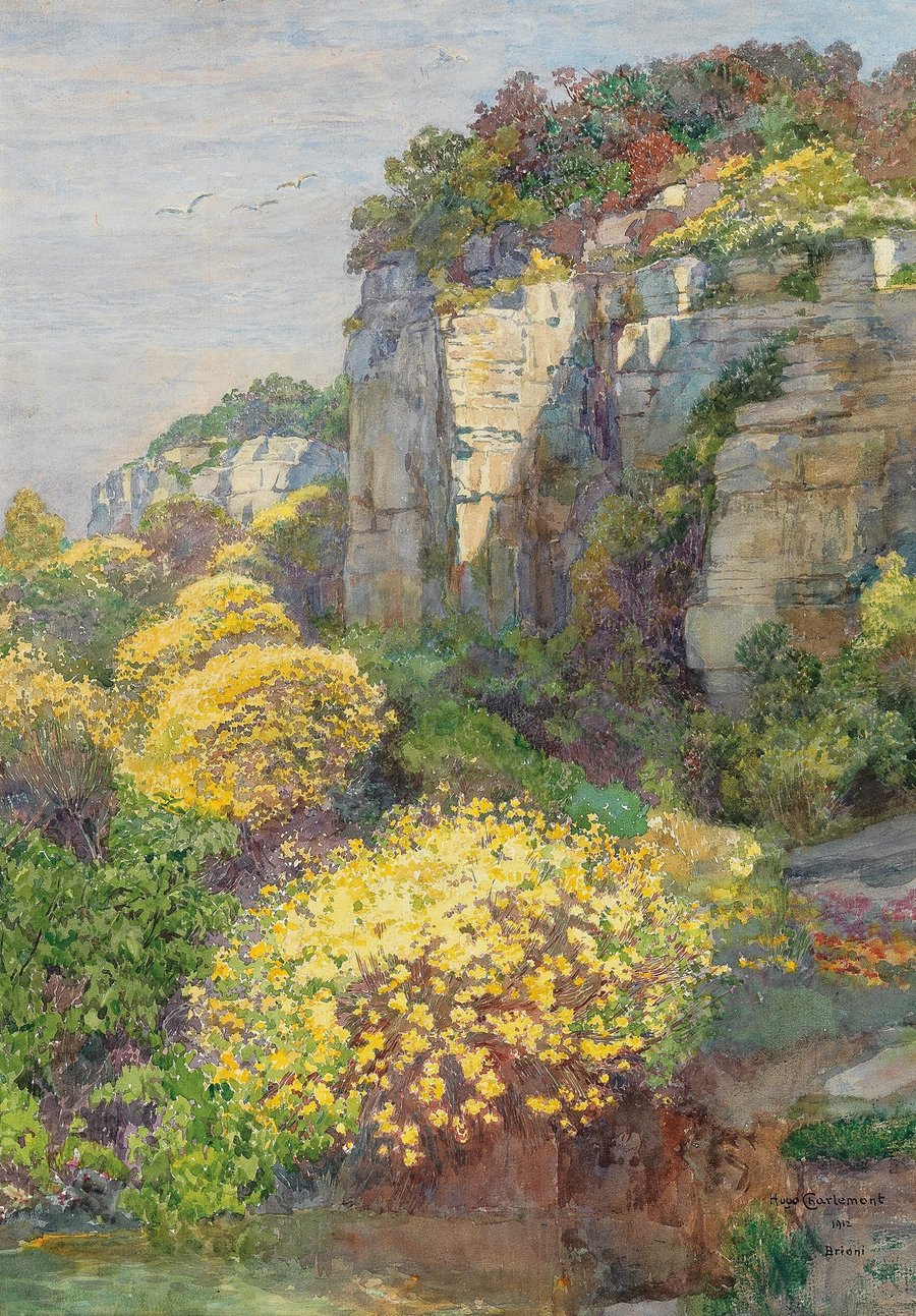 Broom in bloom on Brioni (1912)