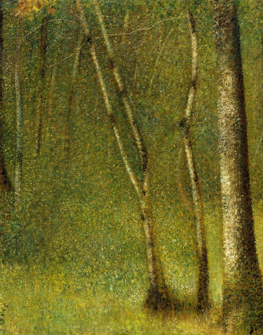 The Forest at Pontaubert (1881)