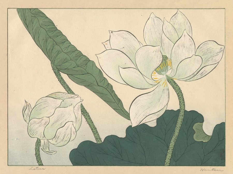 Lotus (1920s)
