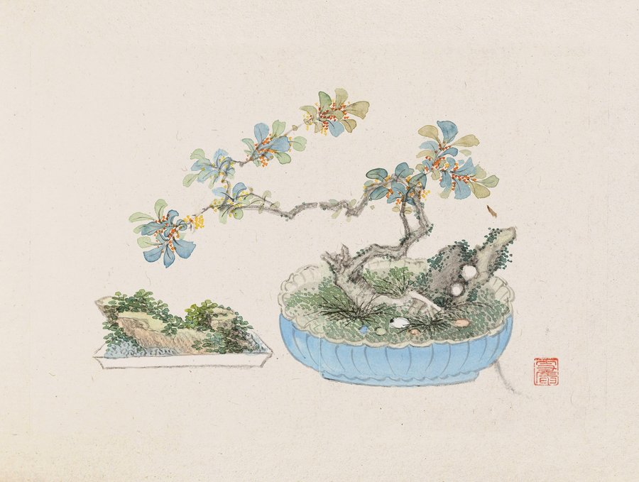 Bonsai kabenzu, Pl.22 (1868-1912)