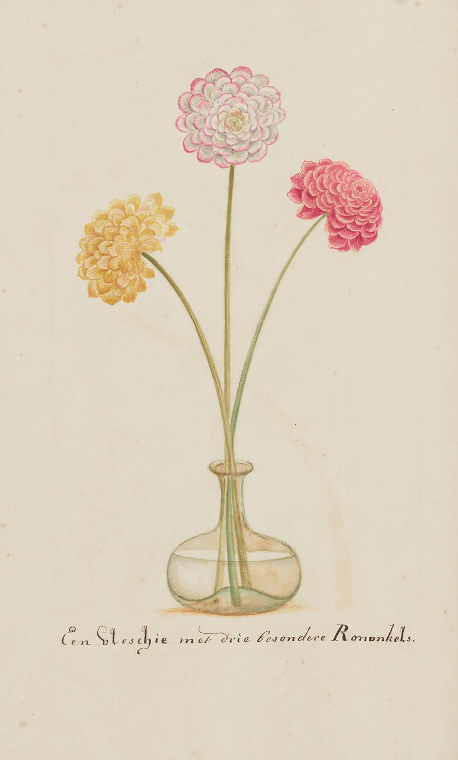 A Comprehensive Collection of European Insects Pl.374 (1756)