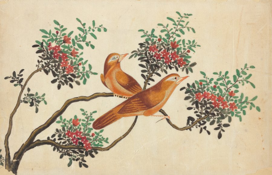 Birds of China (1800-1899)