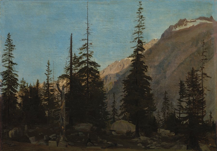 Alpine Landscape, The Handegg, Switzerland (1850s)