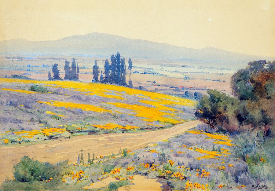 California Spring Landscape (ca. 1920)