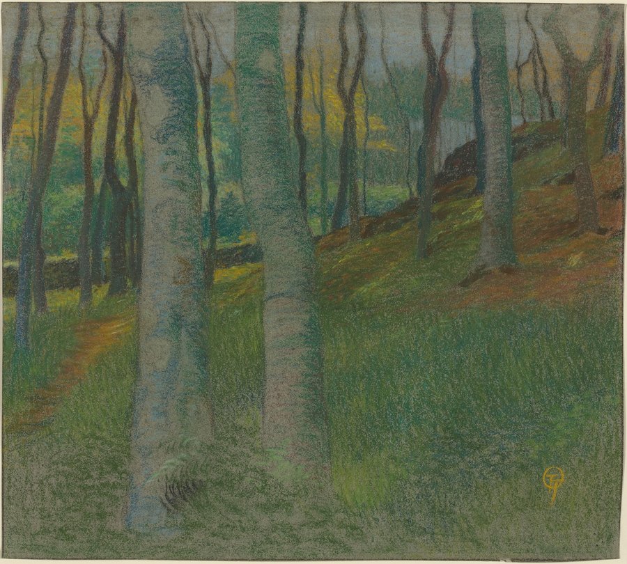 Wooded Landscape