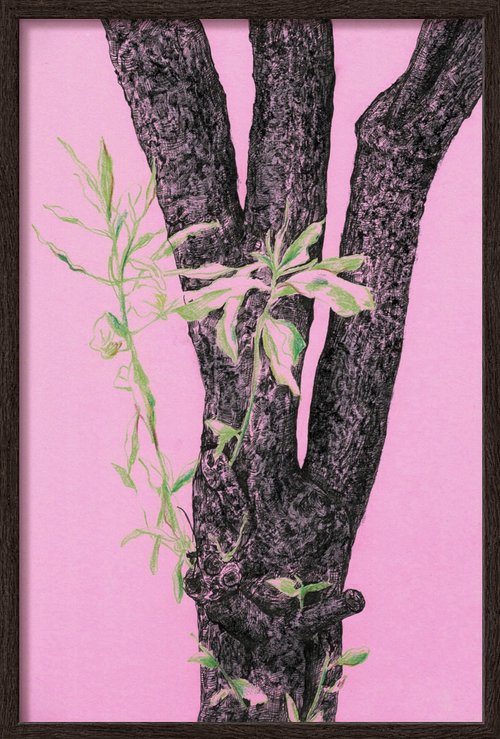 Tree Observation