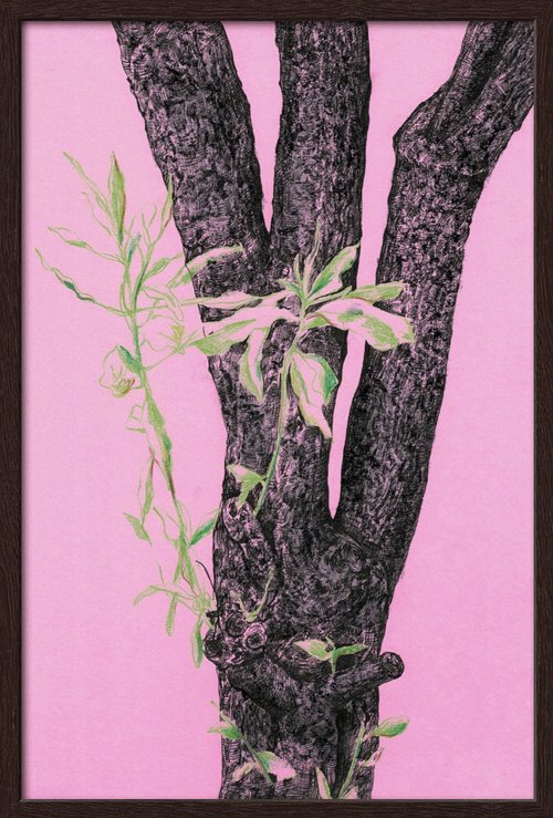 Tree Observation