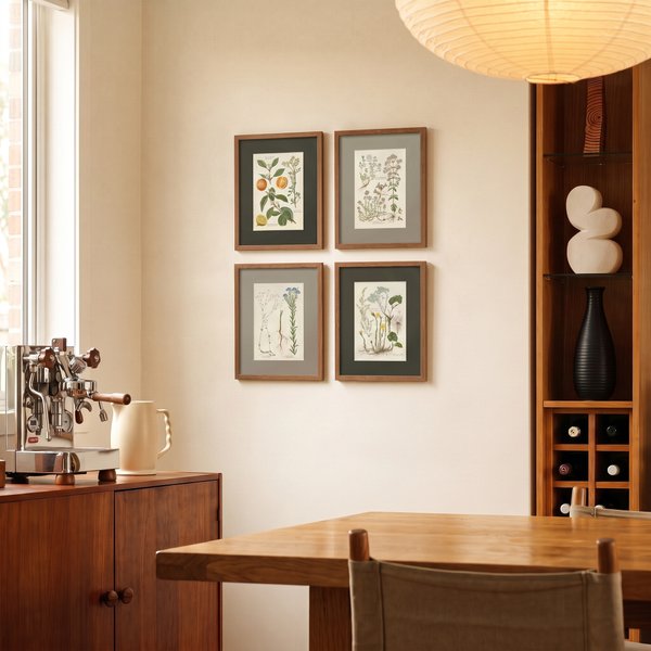 Herbs and plants set 