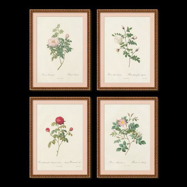 Les Roses 